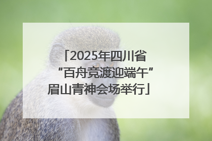 2025年四川省“百舟竞渡迎端午”眉山青神会场举行