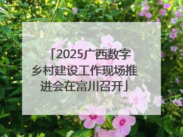 2025广西数字乡村建设工作现场推进会在富川召开