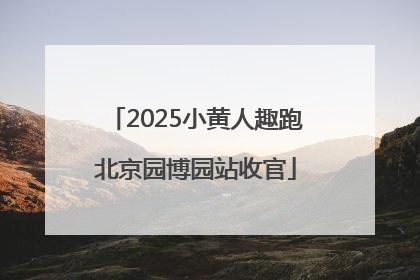 2025小黄人趣跑北京园博园站收官