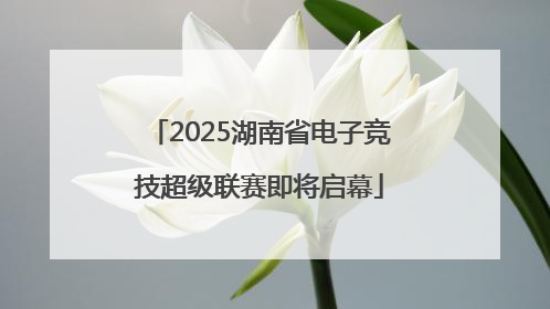 2025湖南省电子竞技超级联赛即将启幕