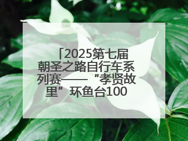 2025第七届朝圣之路自行车系列赛——“孝贤故里”环鱼台100公里挑战赛启幕
