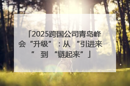 2025跨国公司青岛峰会“升级”：从 “引进来” 到 “链起来”