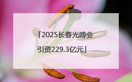 2025长春光博会引资229.3亿元