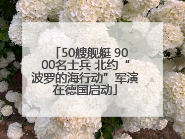 50艘舰艇 9000名士兵 北约“波罗的海行动”军演在德国启动