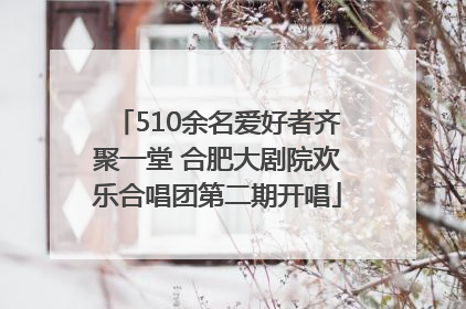 510余名爱好者齐聚一堂 合肥大剧院欢乐合唱团第二期开唱