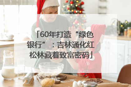 60年打造“绿色银行”：吉林通化红松林藏着致富密码