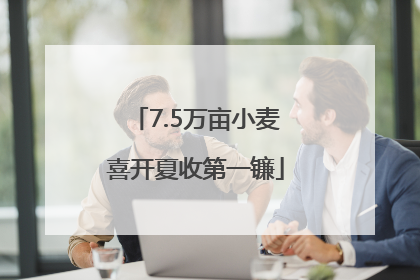 7.5万亩小麦喜开夏收第一镰