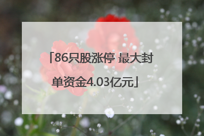 86只股涨停 最大封单资金4.03亿元