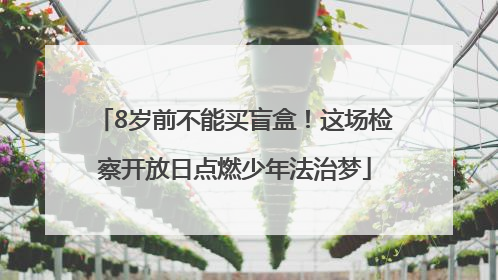 8岁前不能买盲盒！这场检察开放日点燃少年法治梦