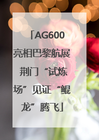 AG600亮相巴黎航展 荆门“试炼场”见证“鲲龙”腾飞