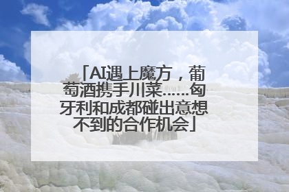 AI遇上魔方，葡萄酒携手川菜……匈牙利和成都碰出意想不到的合作机会