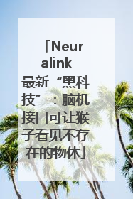 Neuralink最新“黑科技”：脑机接口可让猴子看见不存在的物体