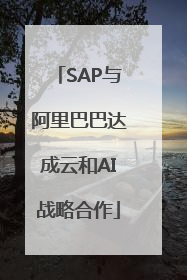 SAP与阿里巴巴达成云和AI战略合作